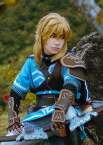 Link | Legend of Zelda